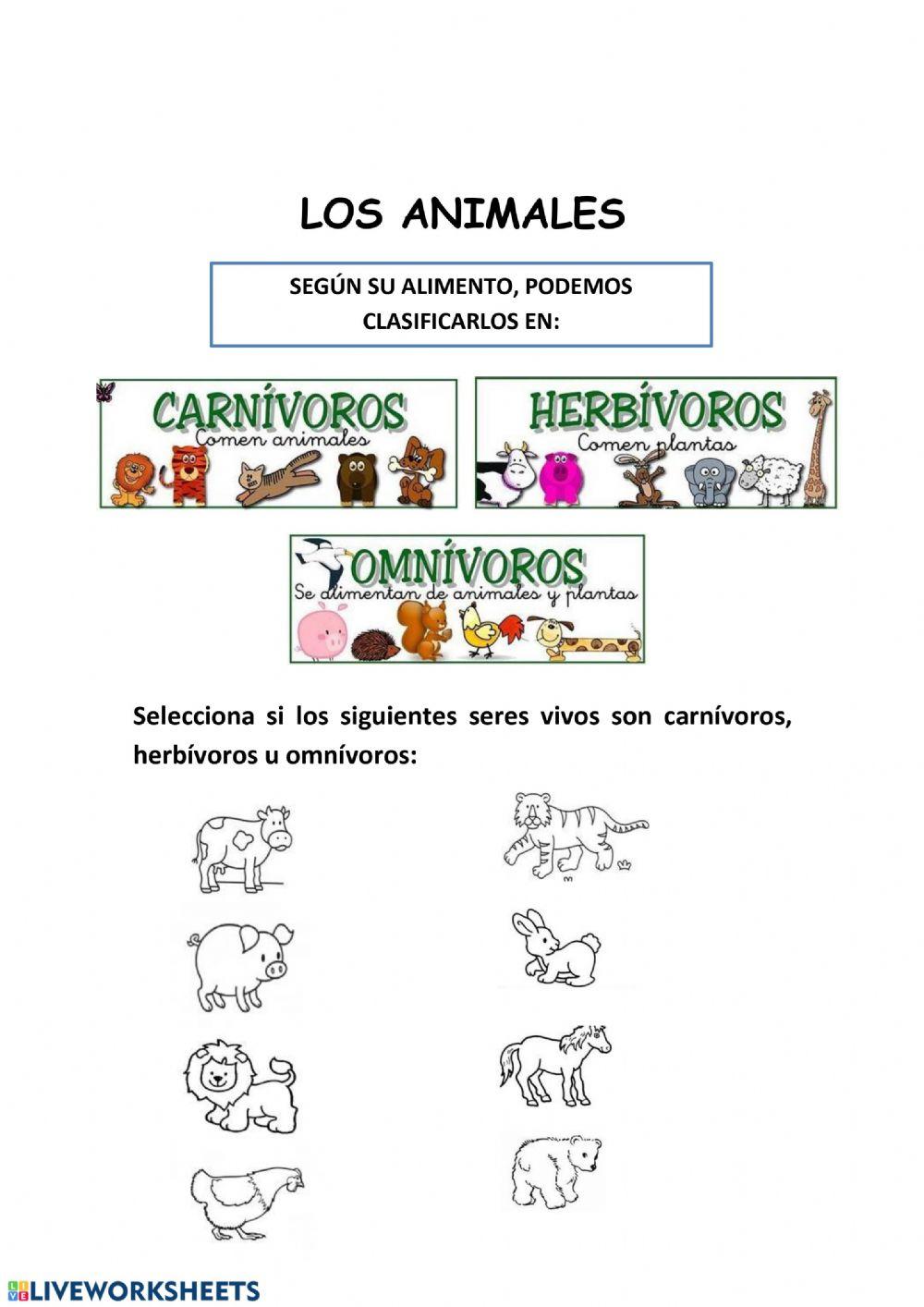 Clasifiación de los animales