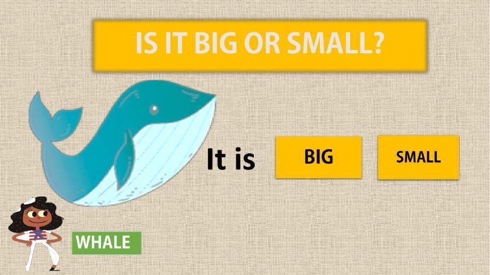 Big or small (sea animals)
