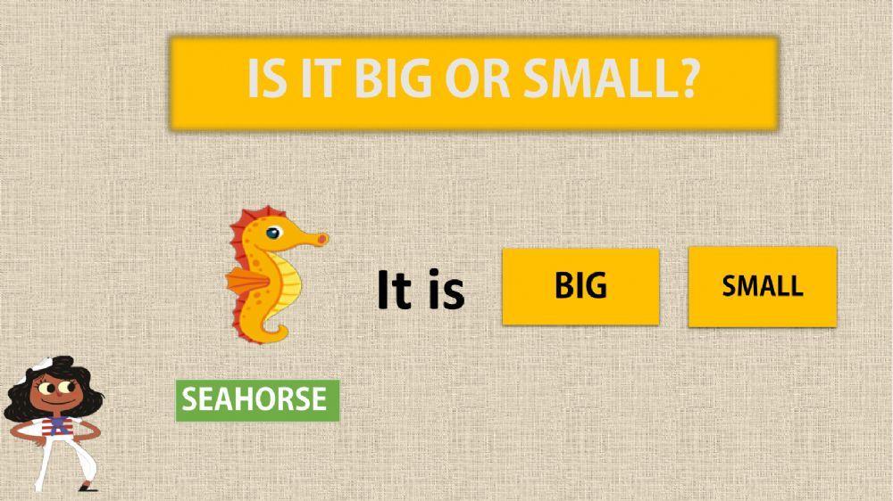 Big or small (sea animals)