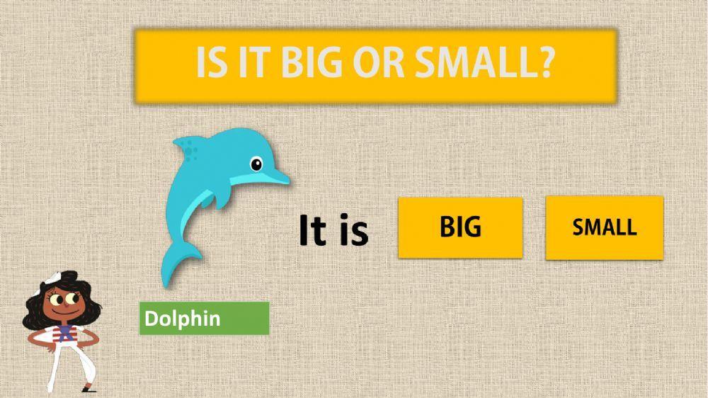 Big or small (sea animals)