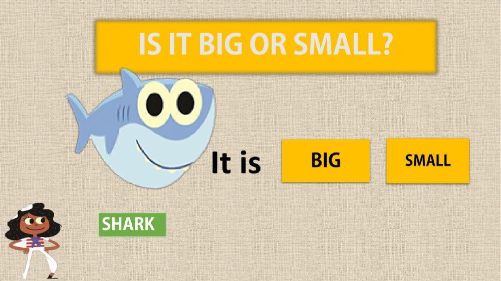 Big or small (sea animals)