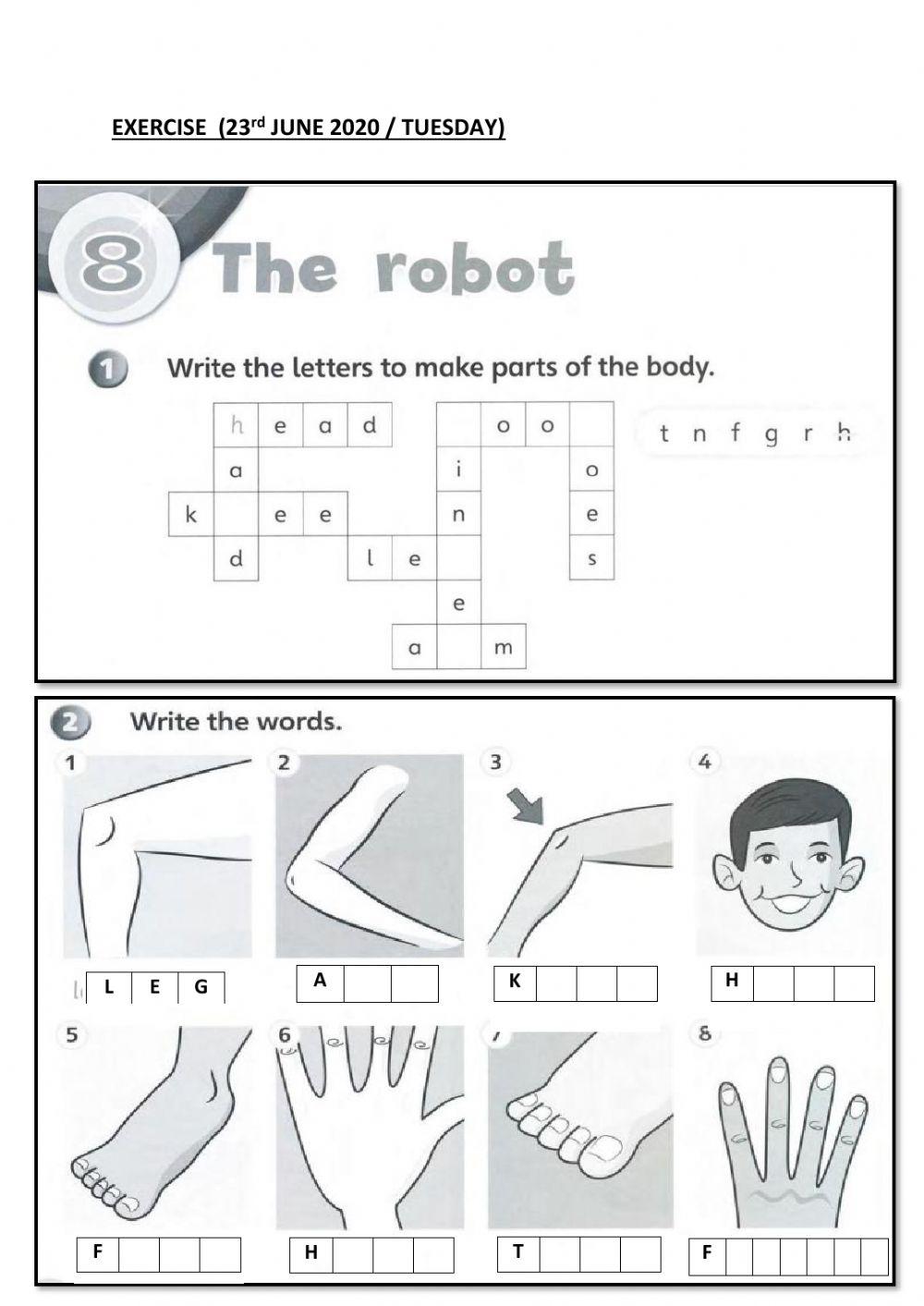 The robot