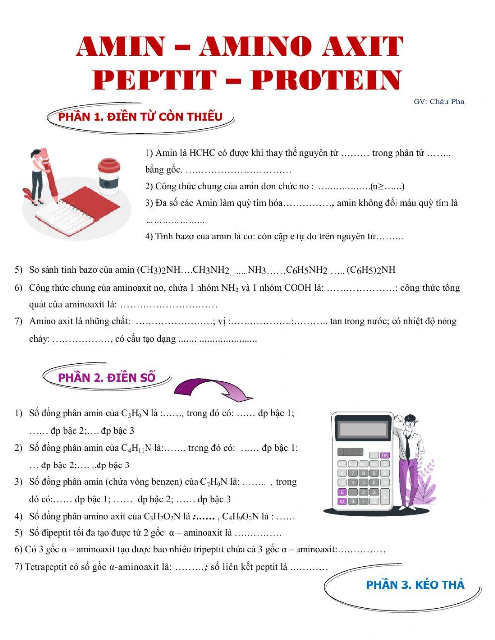 Amin Aminoaxit Peptit Protein