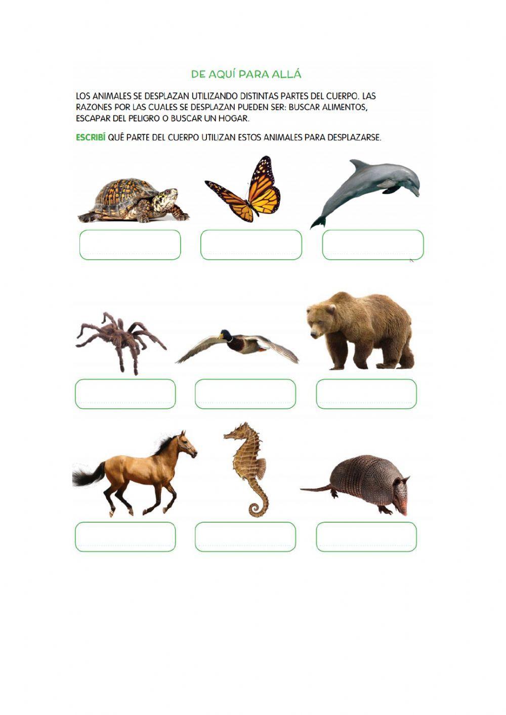 Partes del cuerpo que los animales utilizan para desplazarse