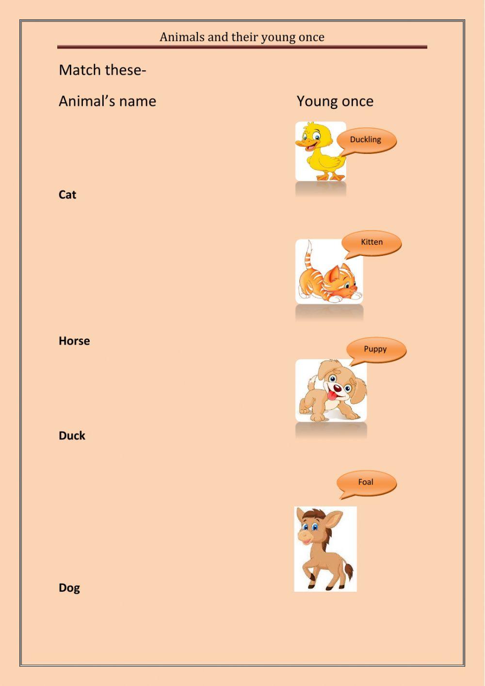 Animals and their young ones