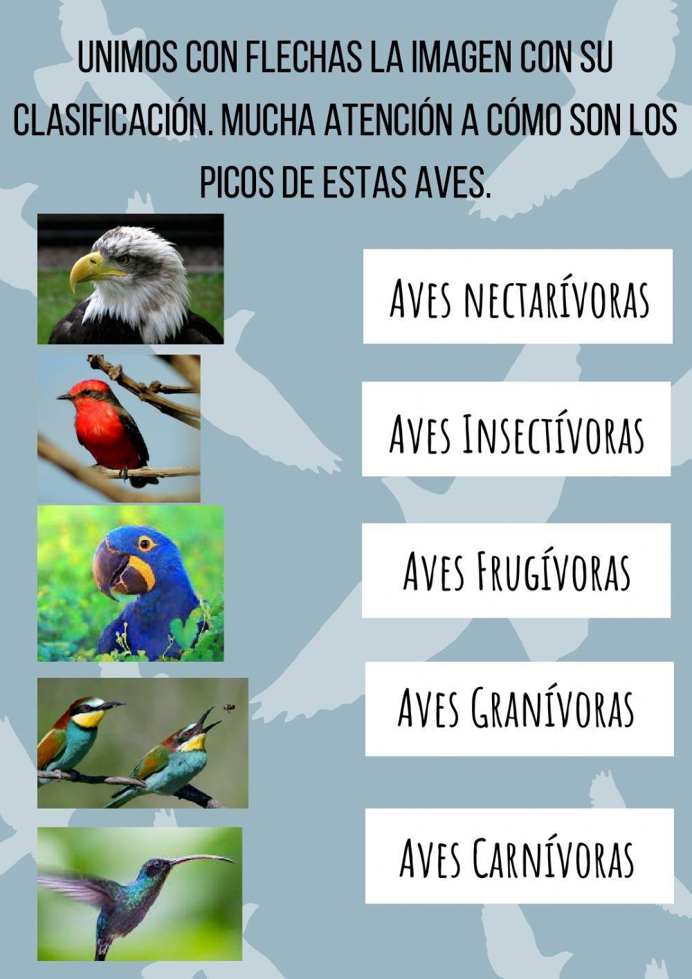 Tipos de picos