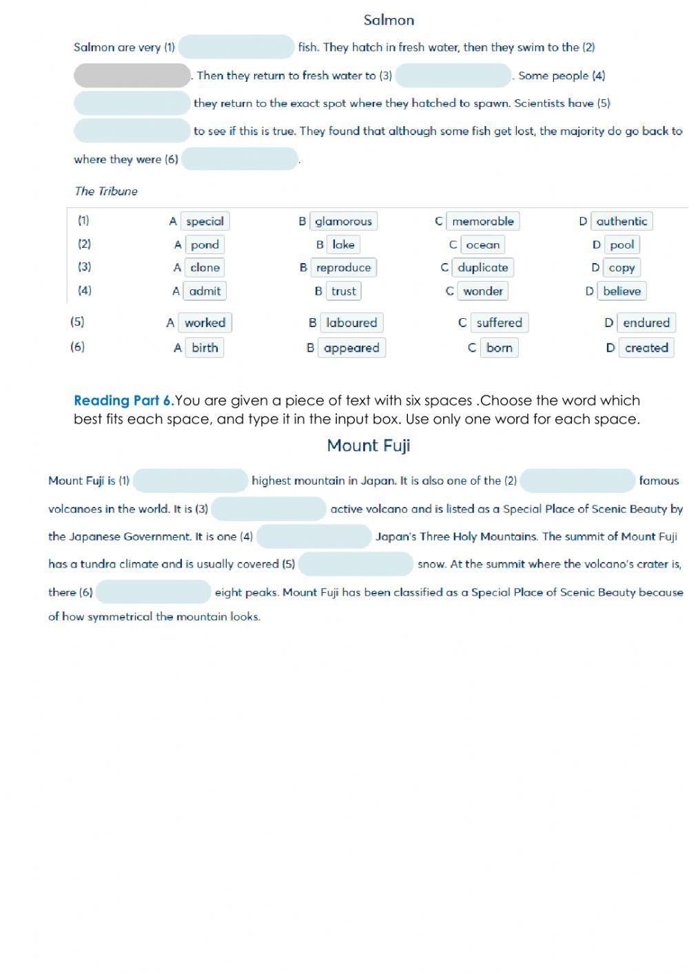 14.El. Reading test Pet fs B1