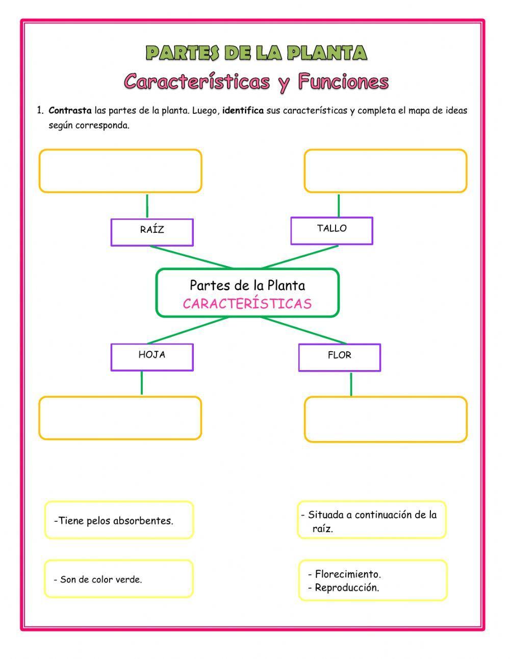 Características y Funciones de la Planta