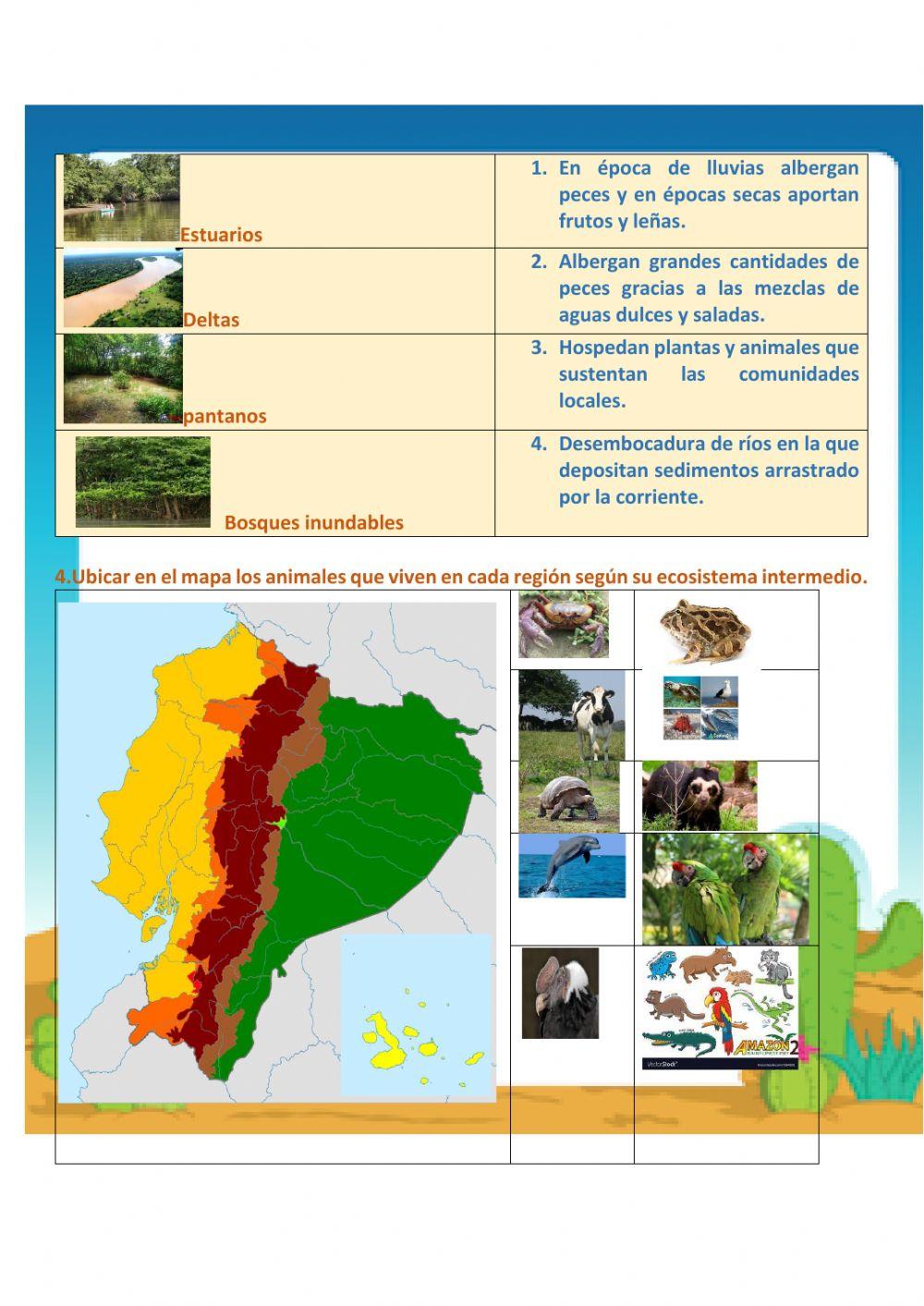Los ecosistemas intermedios