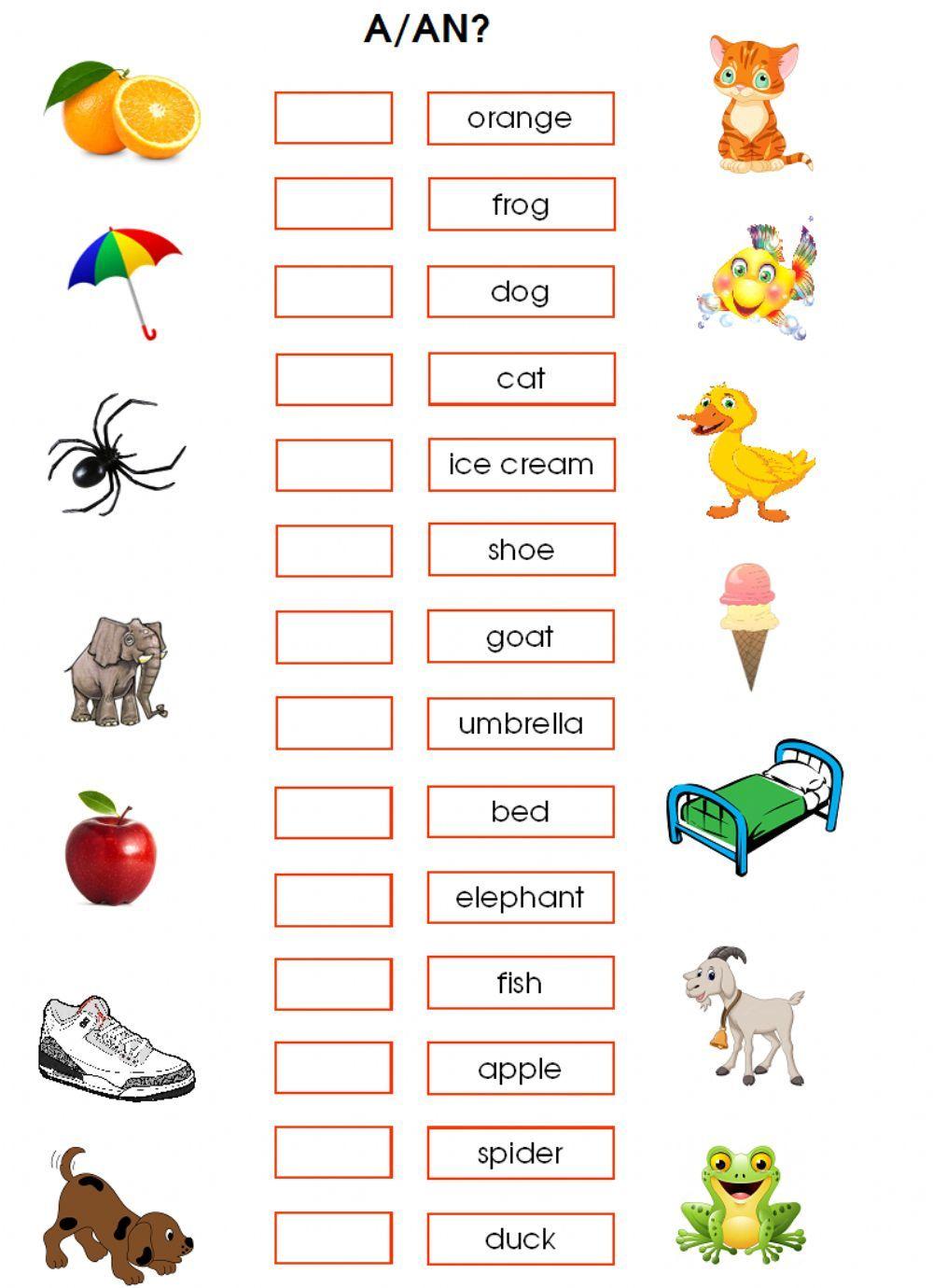 Practice: Indefinite articles
