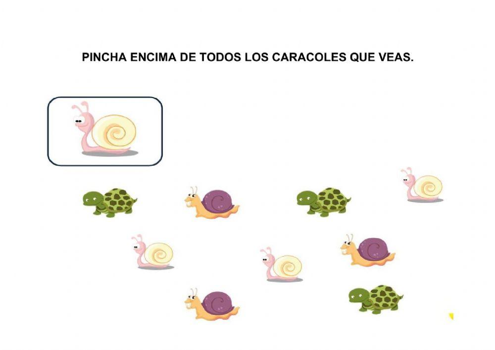 Discriminación visual