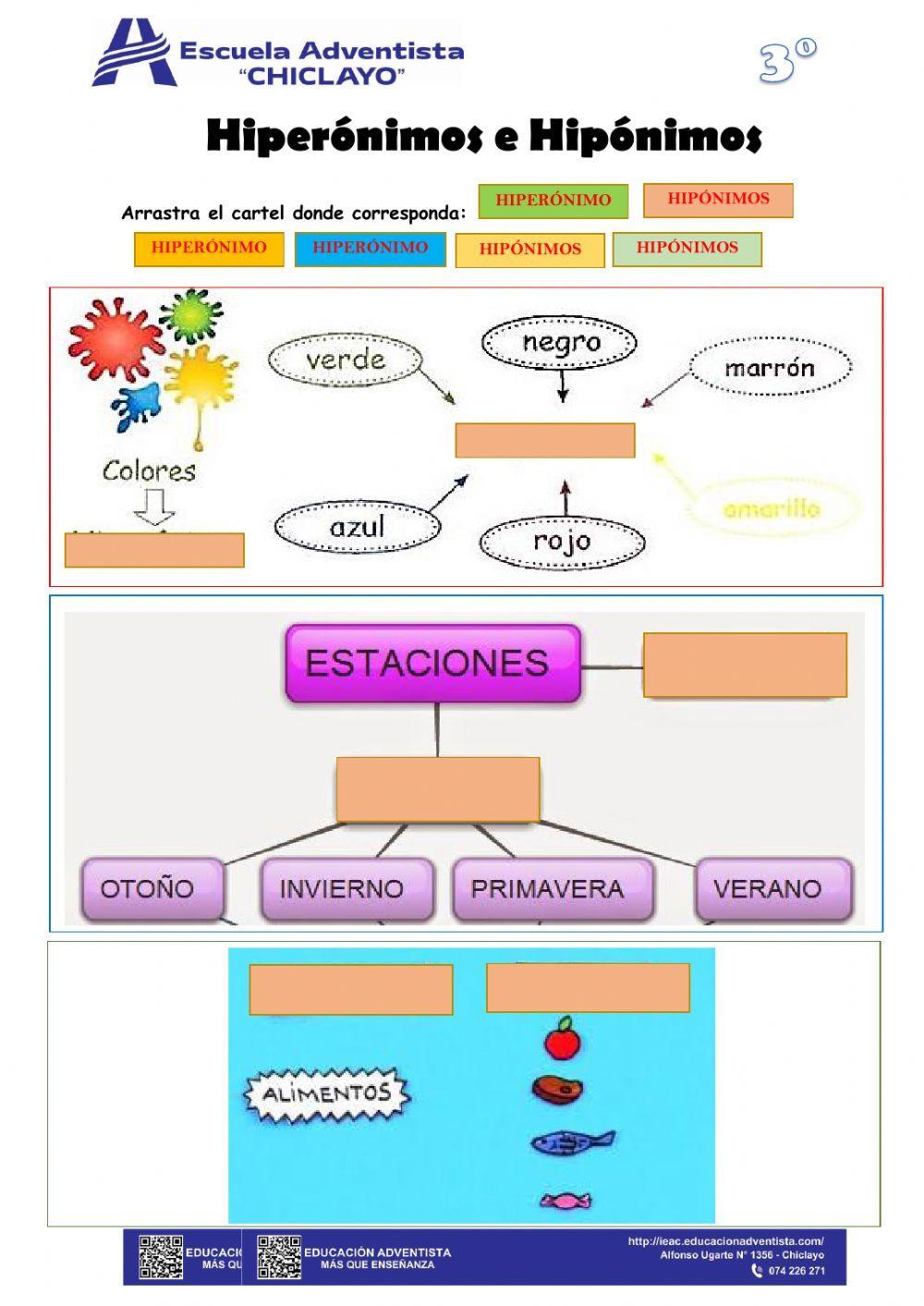 Hiponimos - Hiperónimos