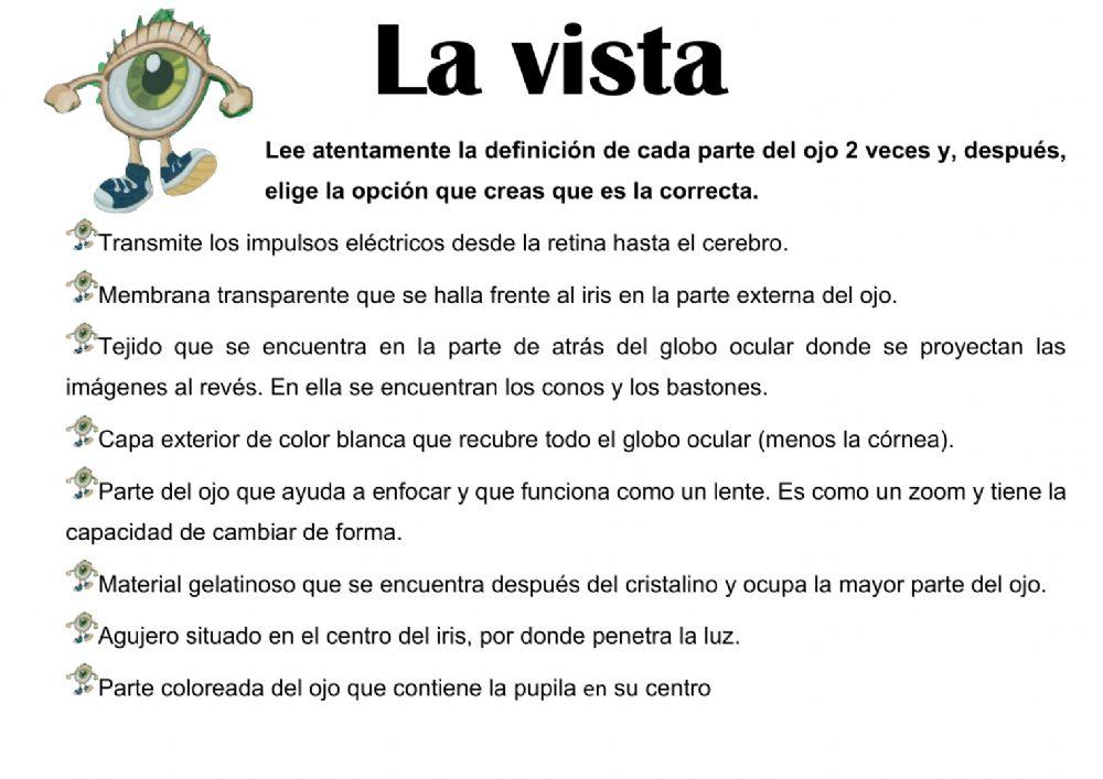 LA VISTA: PARTES DEL OJO QUE AYUDAN A VER