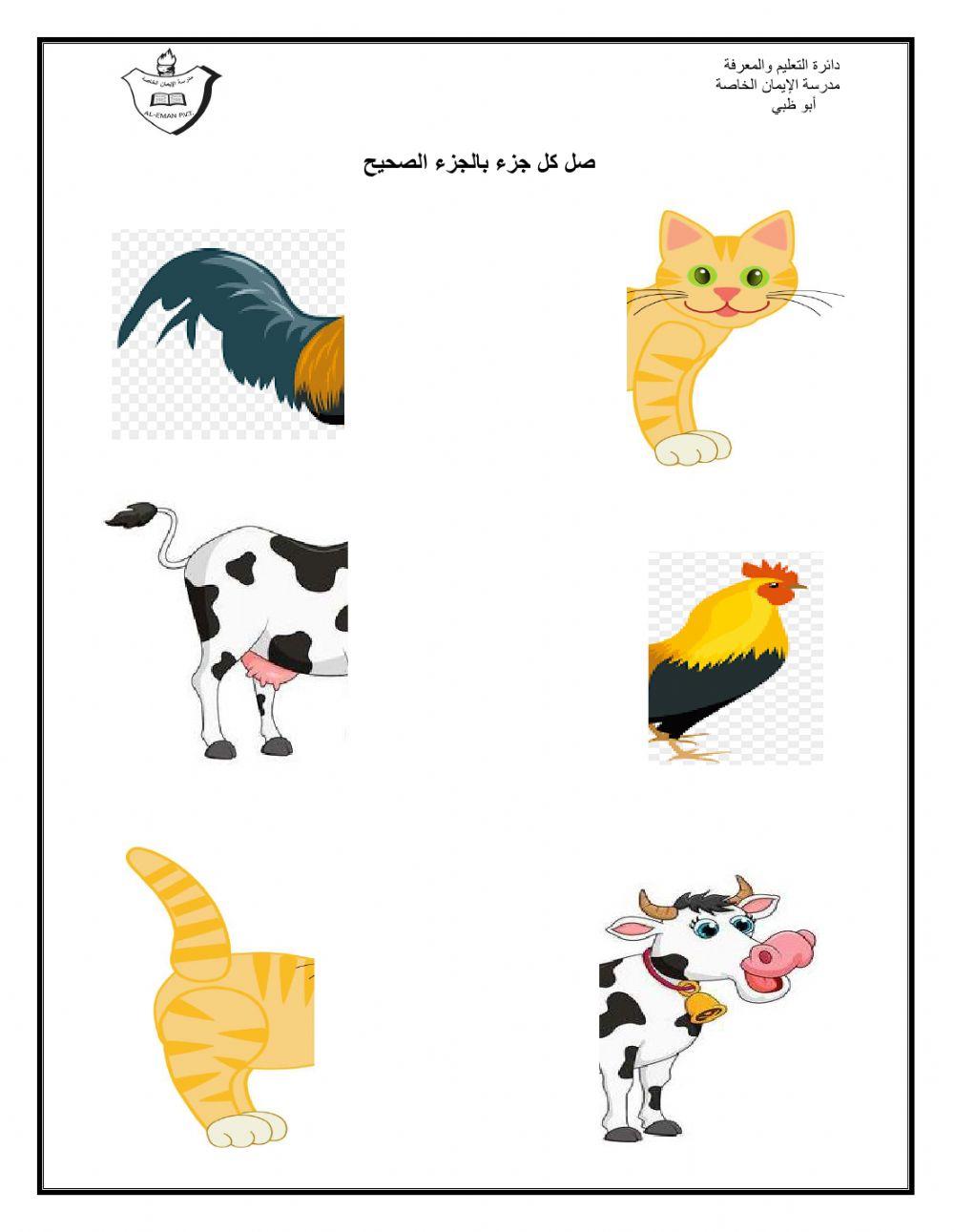 حيوانات المزرعة