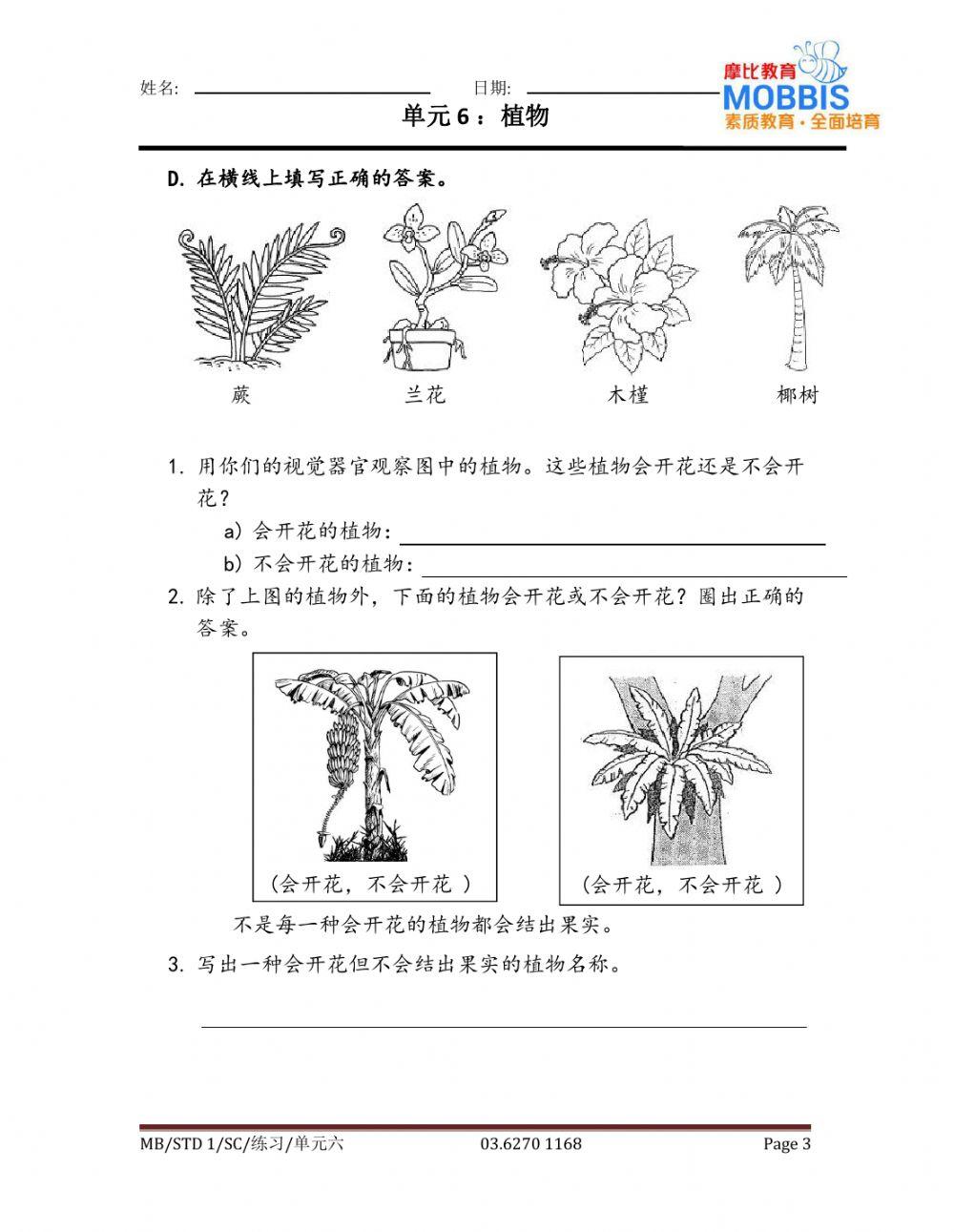 一年级科学 单元六练习3