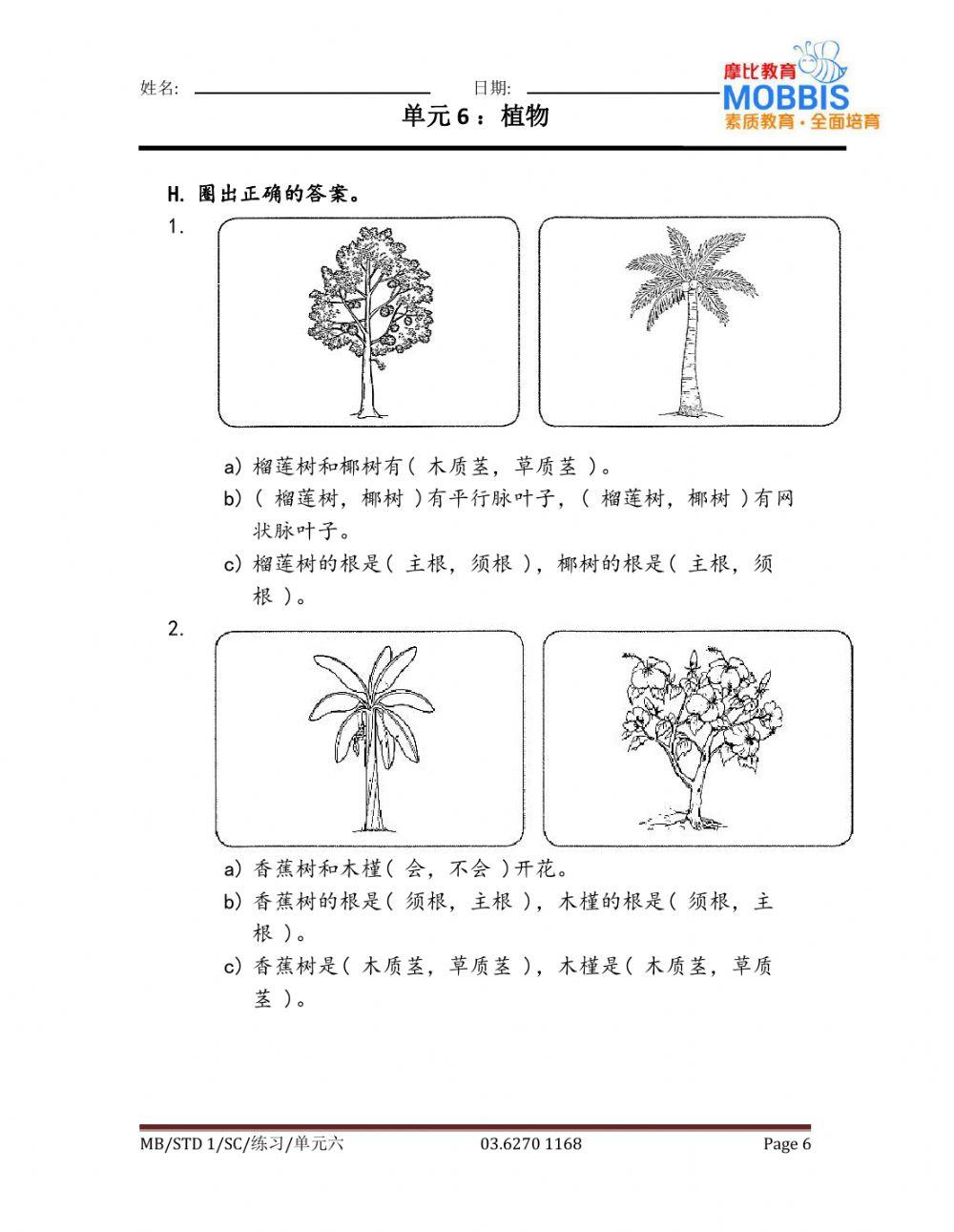 一年级科学 单元六练习6