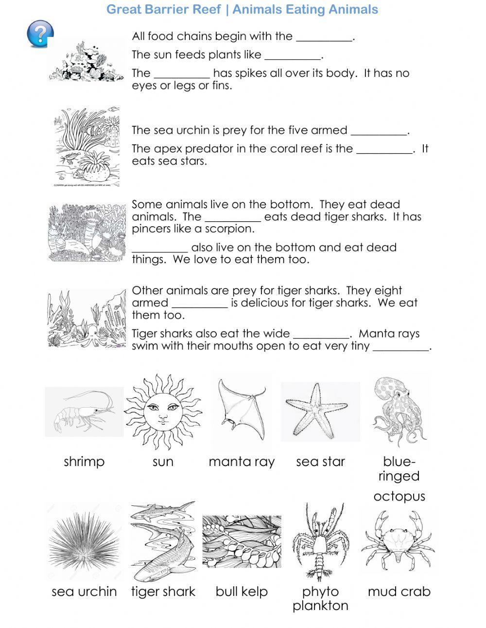 The Great Barrier Reef - Animals Eating Animals