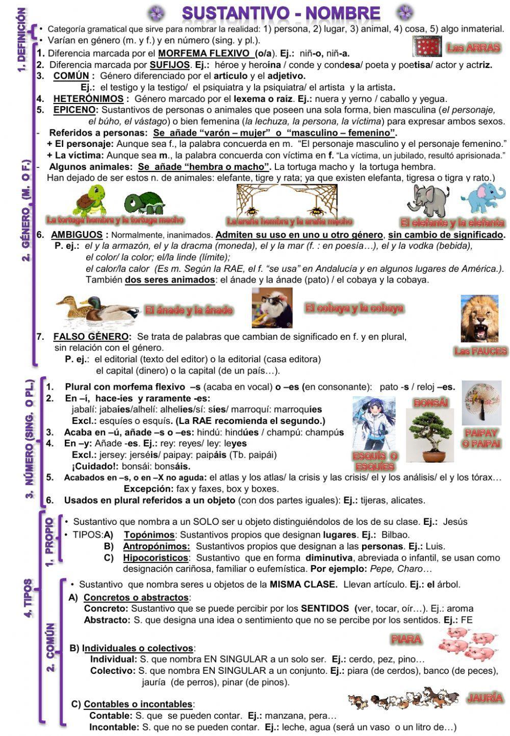 Sustantivos secundaria