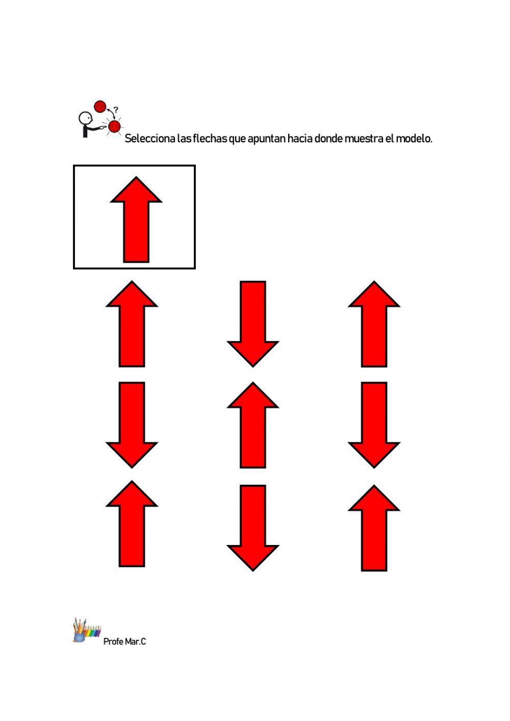 Orientación espacial