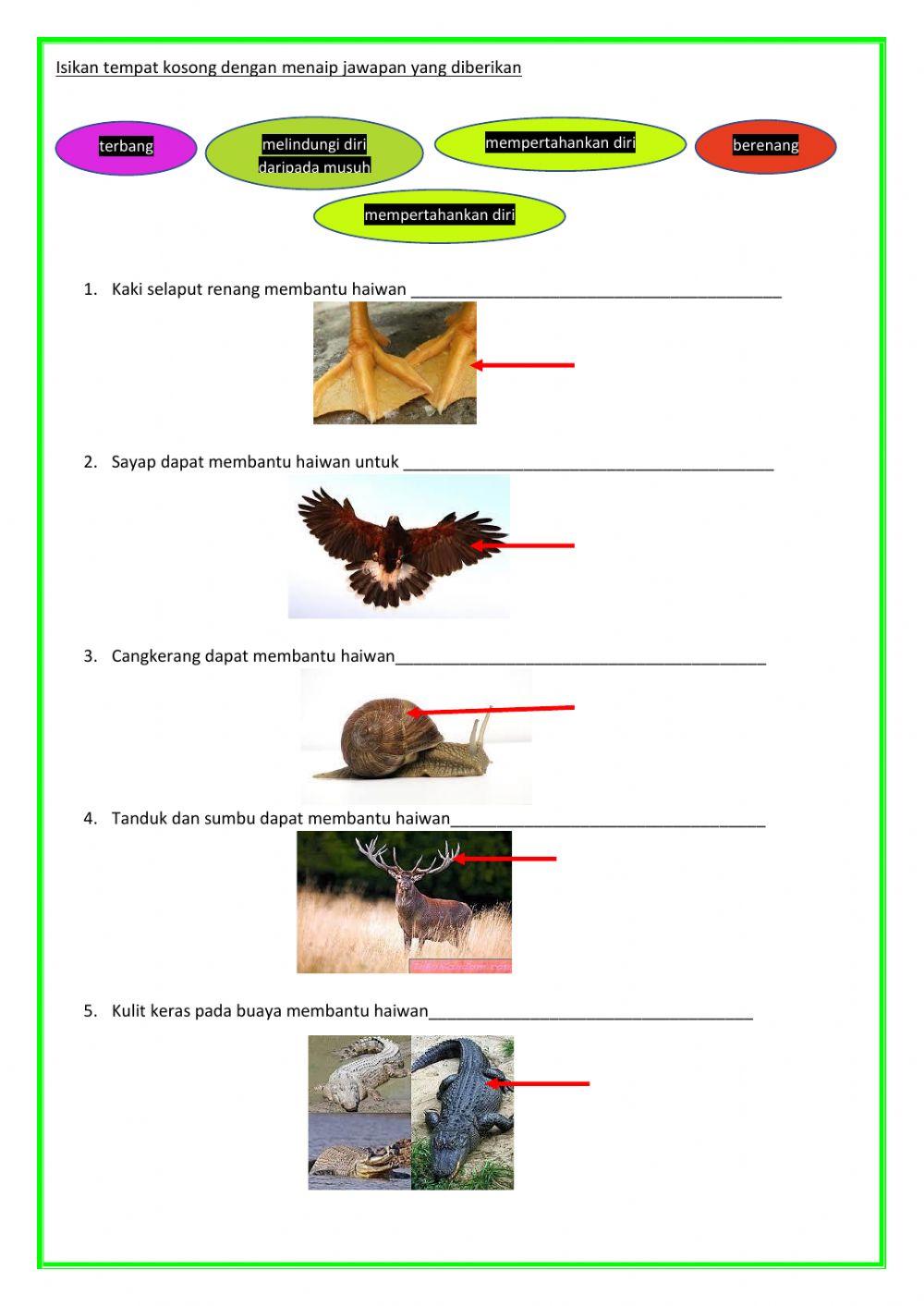 Kepentingan bahagian tubuh haiwan