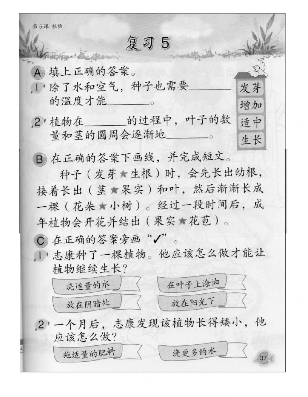 二年级科学第五课  植物