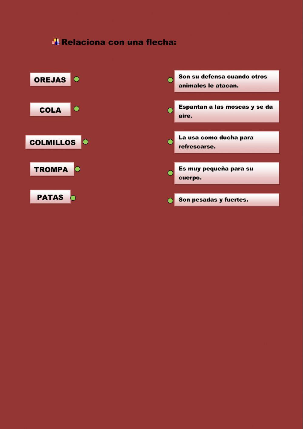 Comprensión del texto