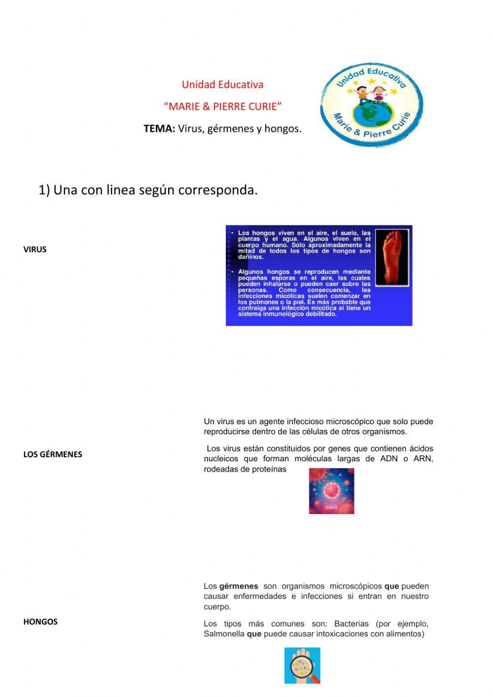 VIRUS, GÈRMENES Y HONGOS