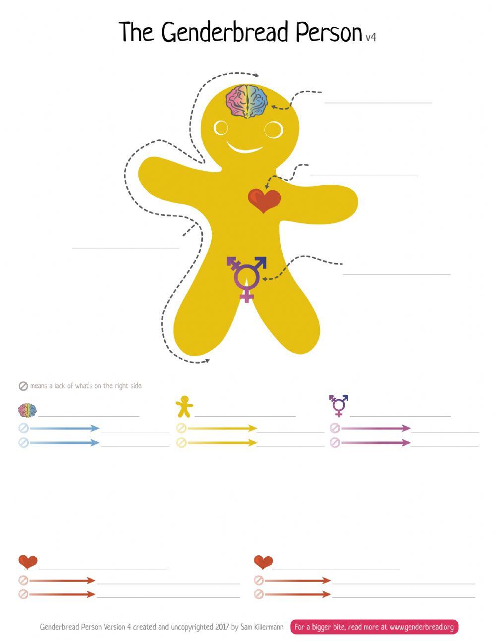 Genderbread online exercise for Live Worksheets