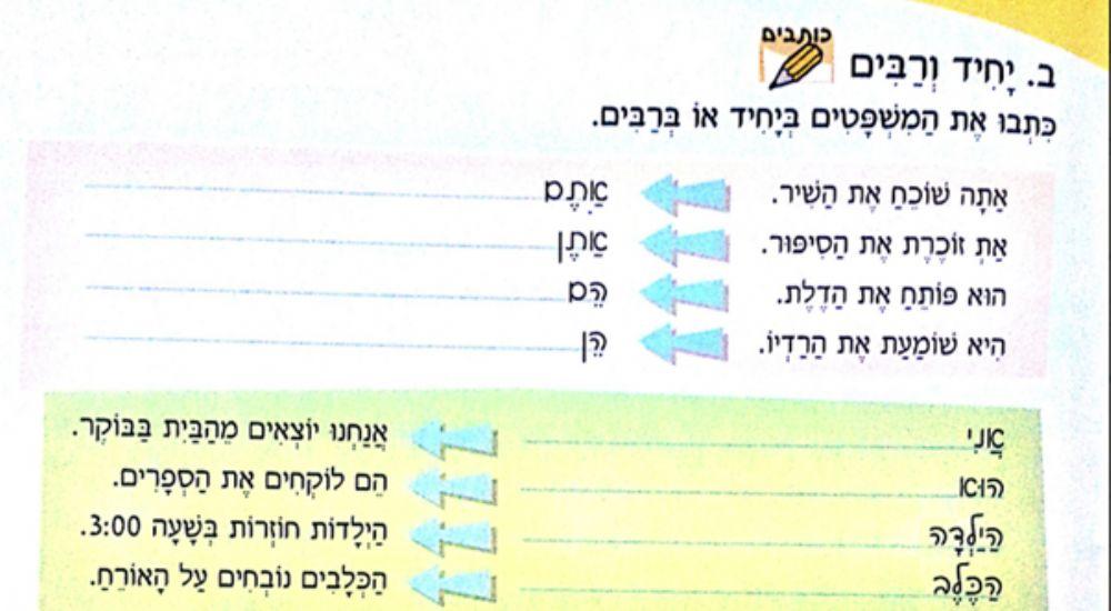 Singulares y plurales