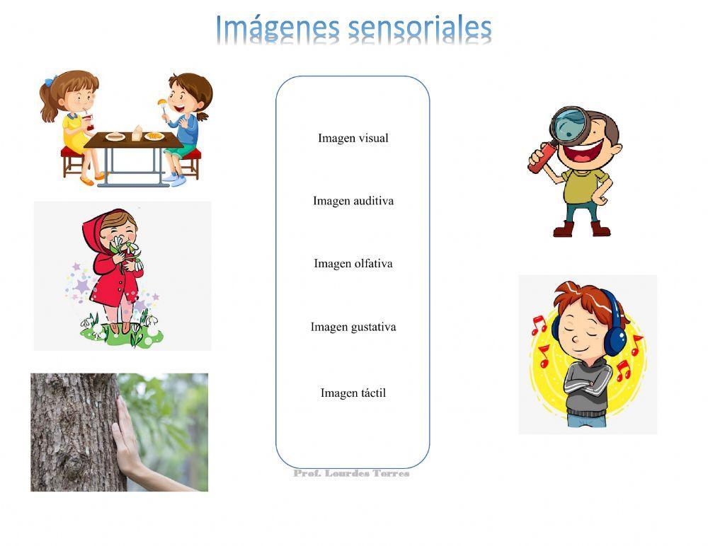 Imágenes sensoriales