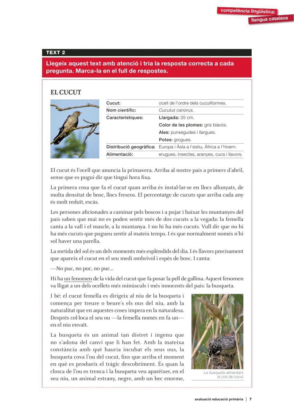 Comprensió lectora 16