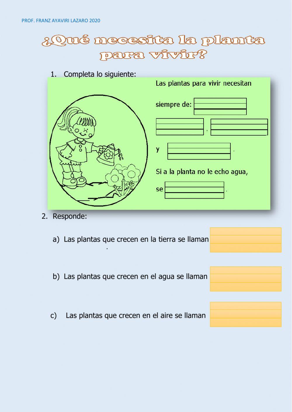 Que necesita la planta para vivir