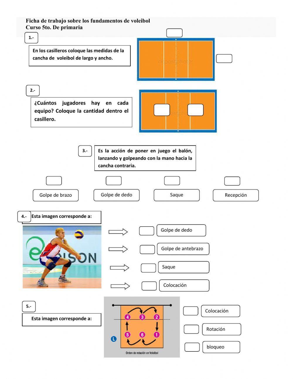 Fundamentos del Voleibol