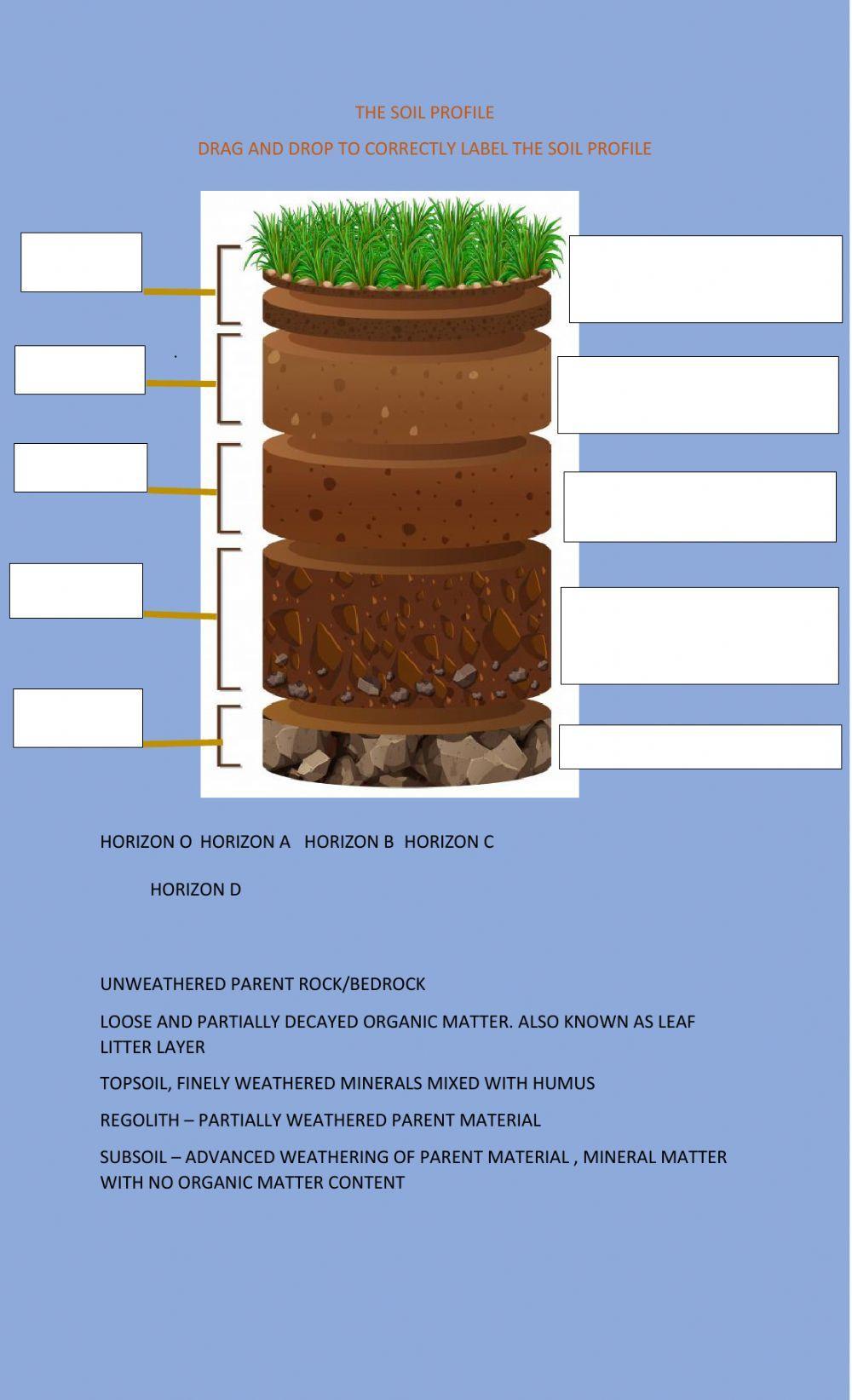 The soil profile