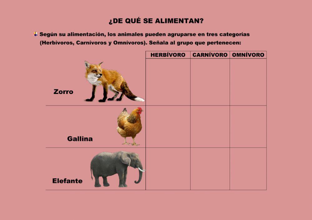 ¿De qué se alimentan?