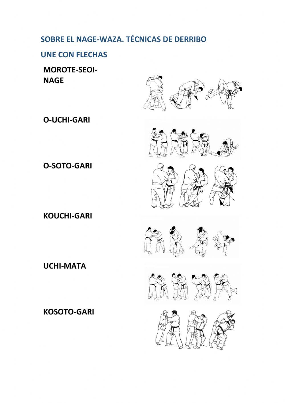 Técnicas de derribo.