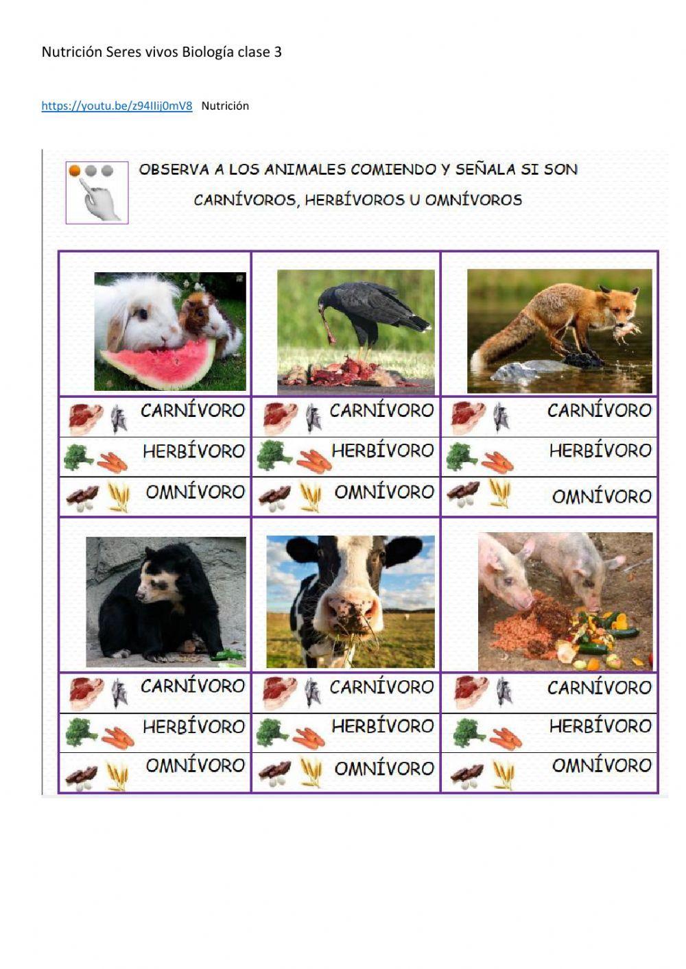 Nutrición seres vivos