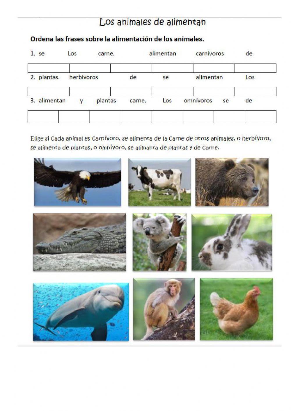 Nutrición seres vivos