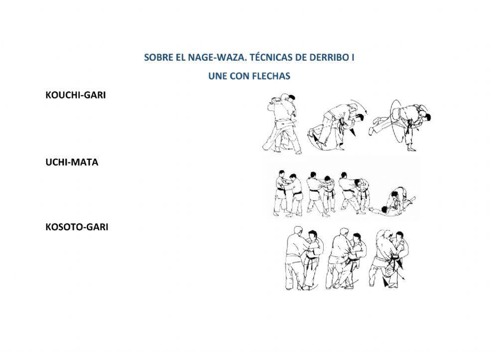 Técnicas de derribo.