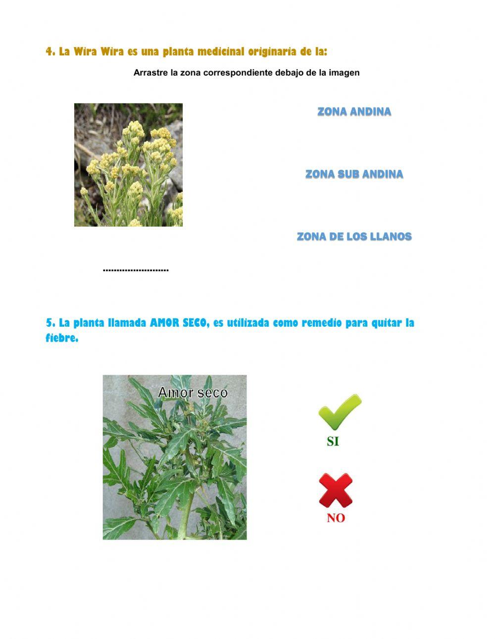 Plantas medicinales