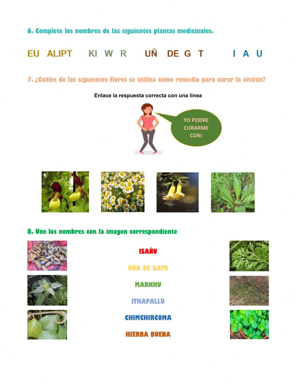 Plantas medicinales