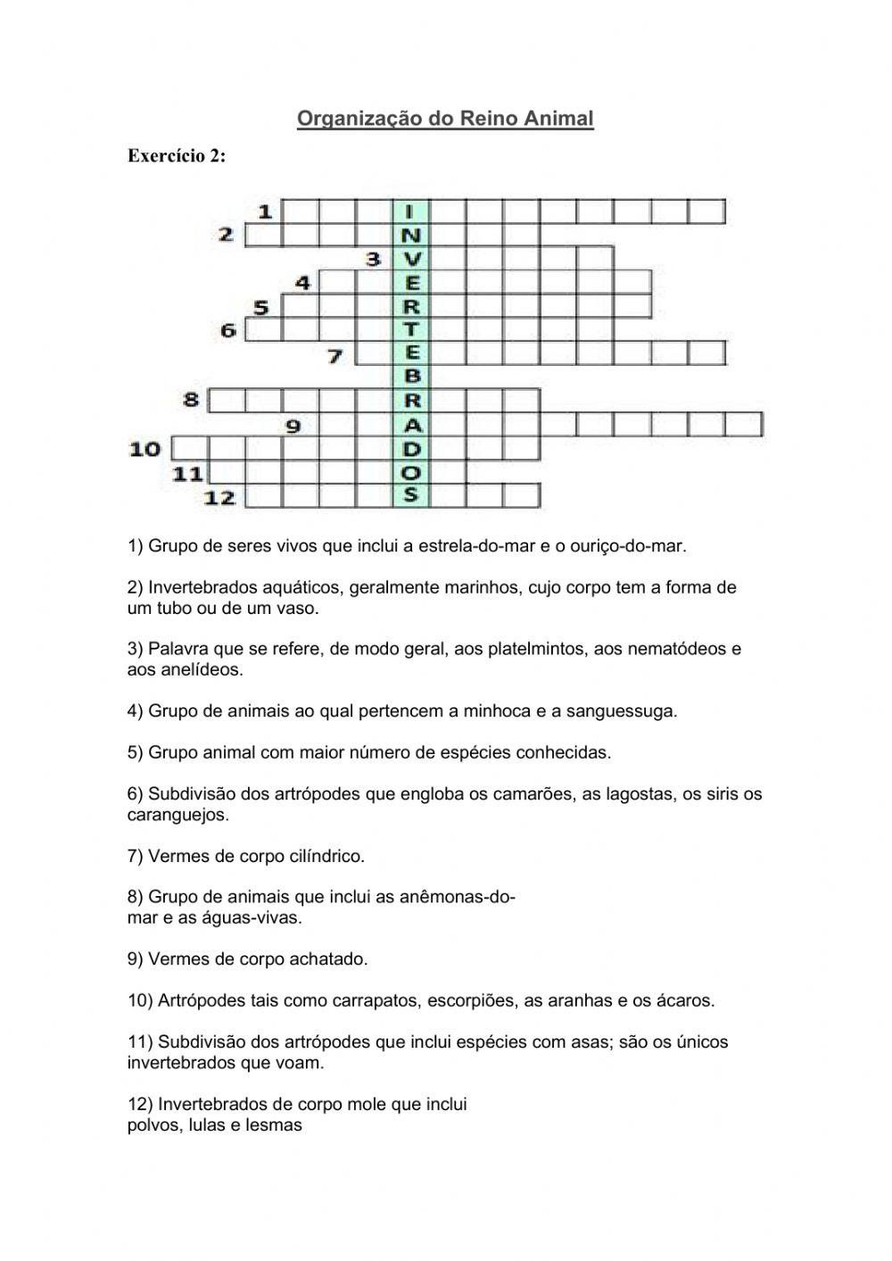 Organização do reino Animal 2
