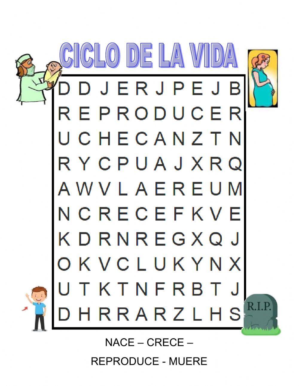 El ciclo de la vida