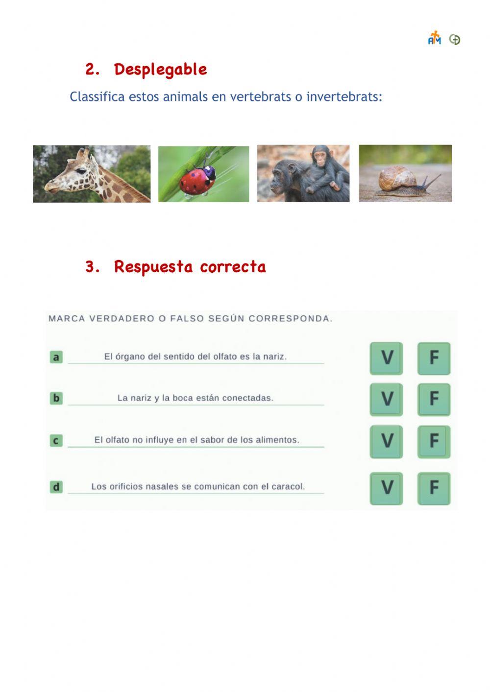 Formació juliol 2020