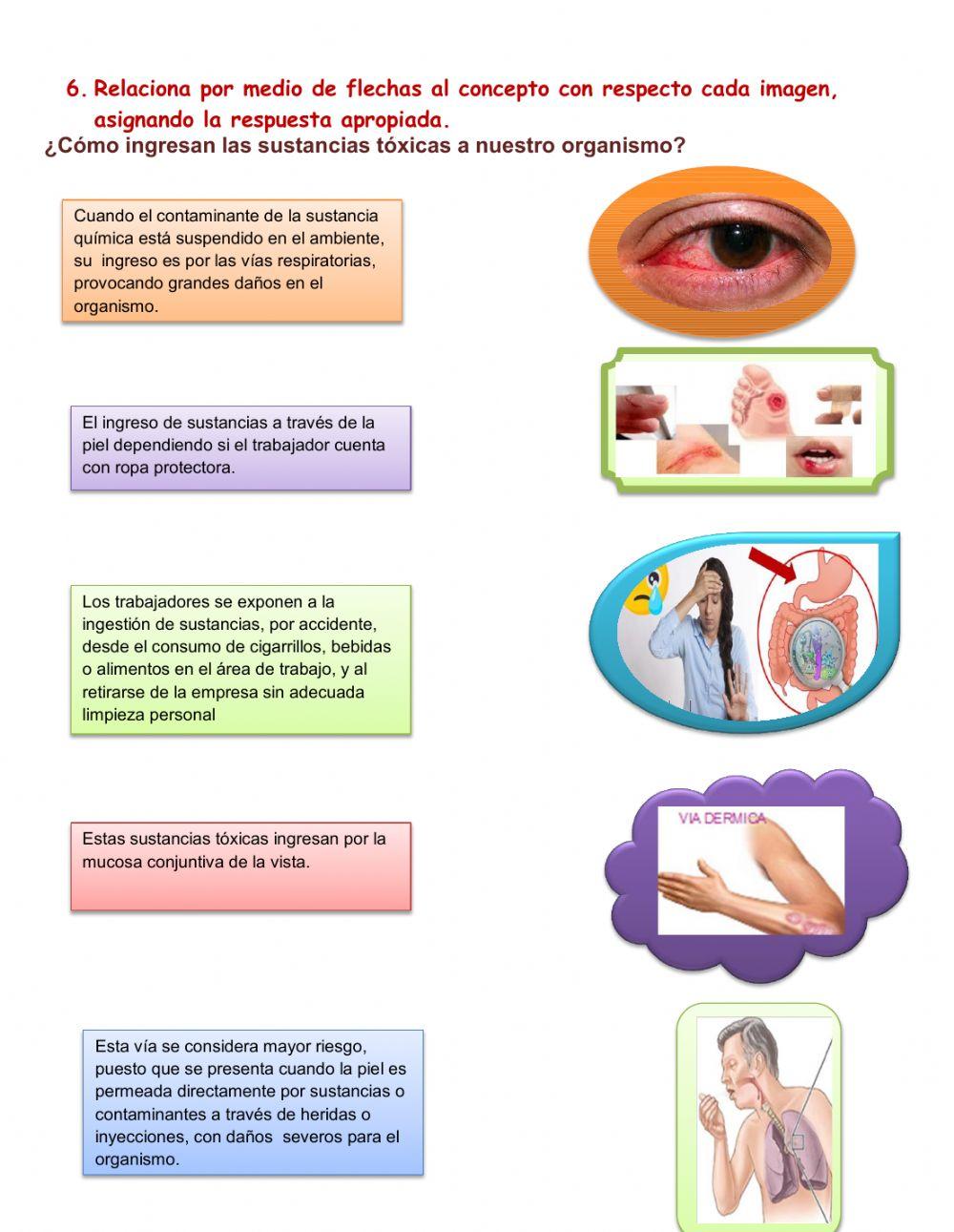 Prevención de los riesgos laborales
