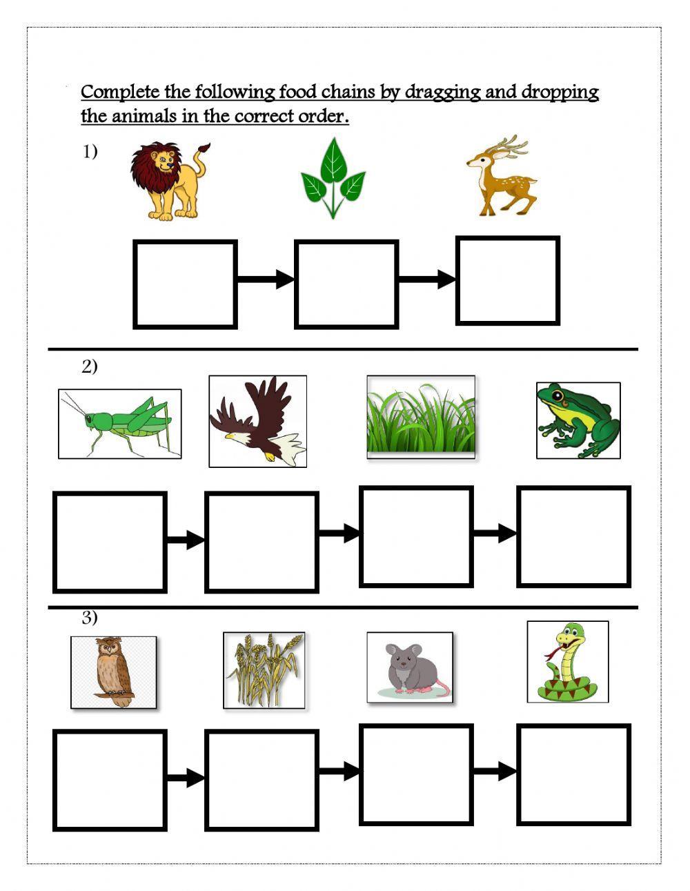 LiveWorksheets Biology Diagrams