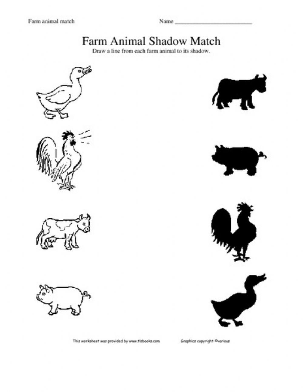 Match the animal with its shadow