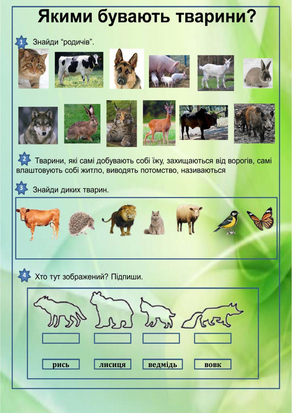 Дикі та свійські тварини