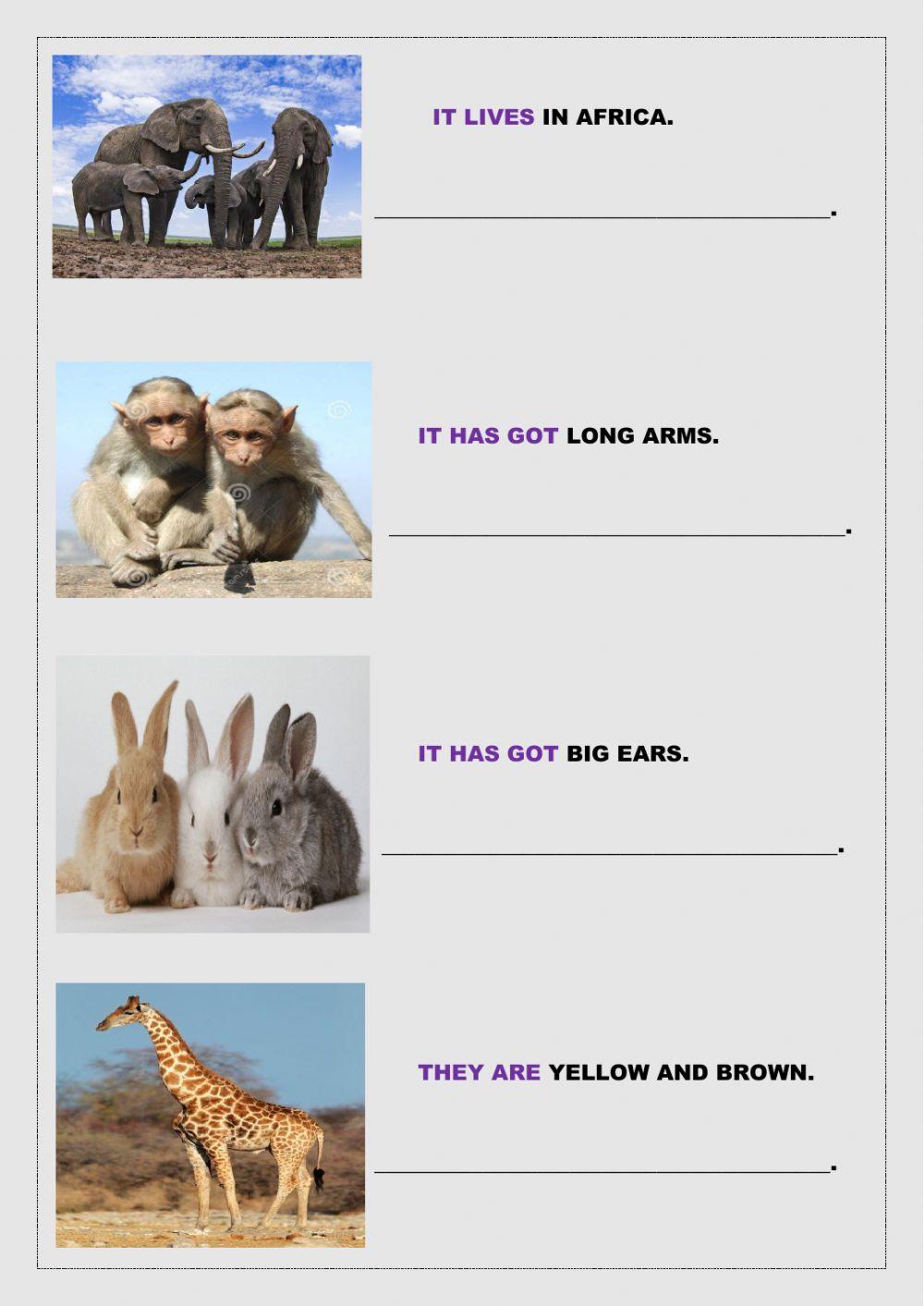 Correct the sentences according to the pictures