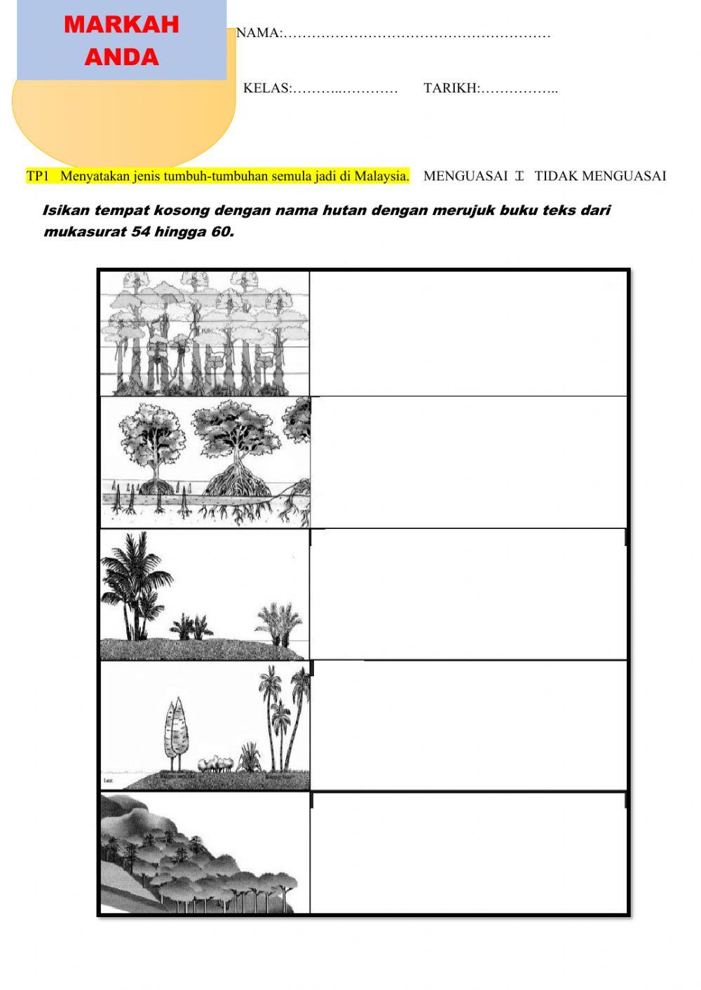 Tumbuhan semulajadi di malaysia